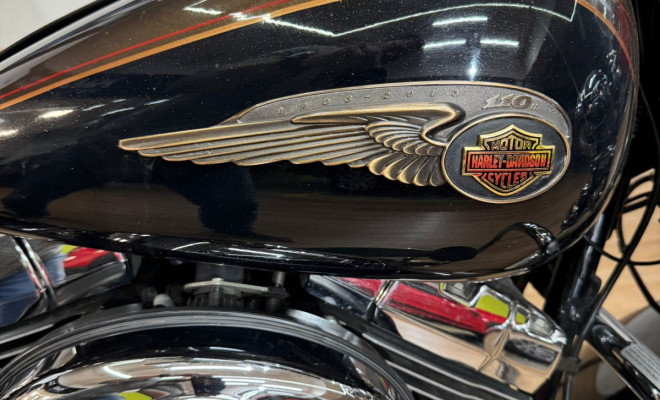 HARLEY-DAVIDSON HERITAGE SOFTAIL CLASSIC 110 th Edition 2013 Gasolina-8