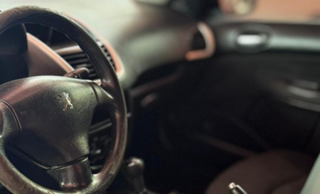 Peugeot 207 XR 1.4 Flex 8V 5p 2013 Flex-4