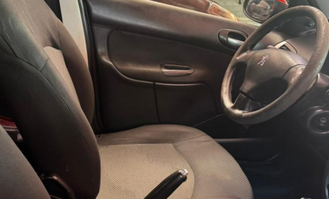 Peugeot 207 XR 1.4 Flex 8V 5p 2013 Flex-9