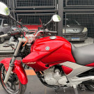 YAMAHA YS 250 FAZER/ FAZER L. EDITION /BLUEFLEX 2010 Flex-0