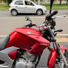 YAMAHA YS 250 FAZER/ FAZER L. EDITION /BLUEFLEX 2010 Flex-4