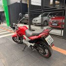 YAMAHA YS 250 FAZER/ FAZER L. EDITION /BLUEFLEX 2010 Flex-5