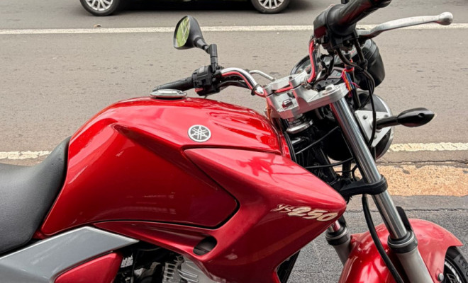 YAMAHA YS 250 FAZER/ FAZER L. EDITION /BLUEFLEX 2010 Flex-4