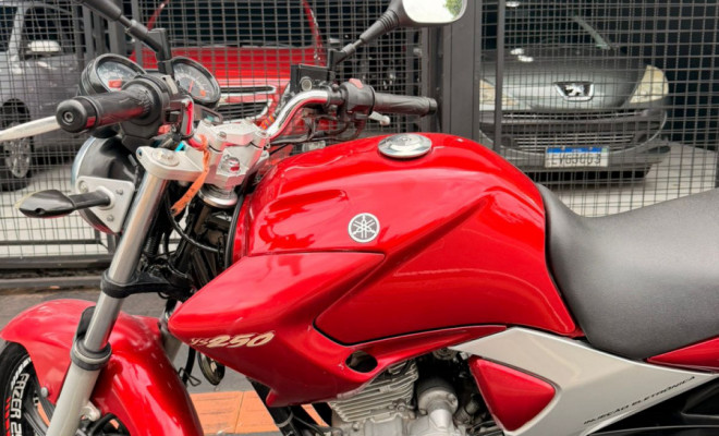 YAMAHA YS 250 FAZER/ FAZER L. EDITION /BLUEFLEX 2010 Flex-0