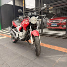 YAMAHA YS 250 FAZER/ FAZER L. EDITION /BLUEFLEX 2010 Flex-6