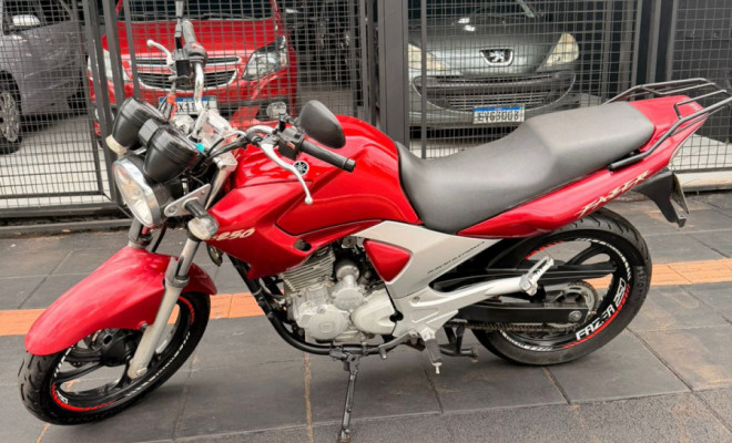 YAMAHA YS 250 FAZER/ FAZER L. EDITION /BLUEFLEX 2010 Flex
