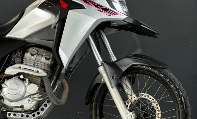 HONDA XRE 300/ 300 ABS/ FLEX 2021 Flex-9