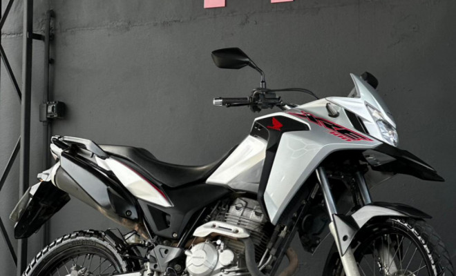 HONDA XRE 300/ 300 ABS/ FLEX 2021 Flex-1