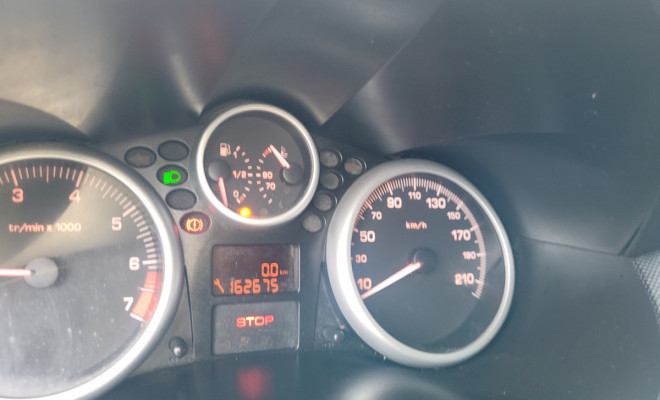 Peugeot 207 XR Sport 1.4 Flex 8V 5p 2009 Flex-9