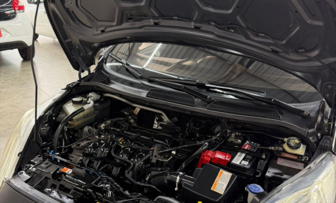 Ford Fiesta TIT./TIT.Plus 1.6 16V Flex Aut. 2015 Flex-22
