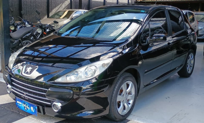 Peugeot 307 Soleil/ Presence 1.6/1.6 Flex 16V 5p 2009 Flex