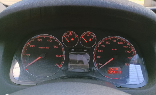 Peugeot 307 Soleil/ Presence 1.6/1.6 Flex 16V 5p 2009 Flex-8