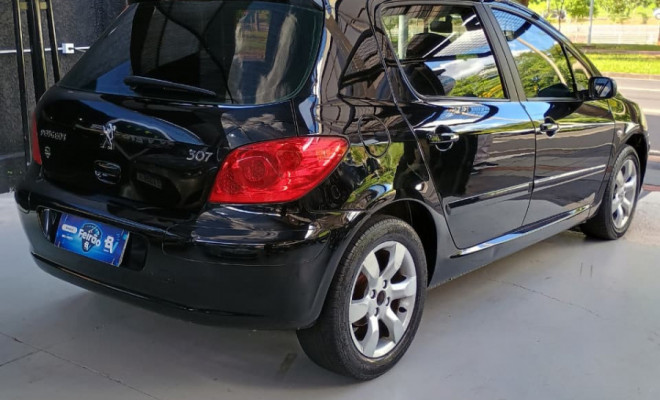 Peugeot 307 Soleil/ Presence 1.6/1.6 Flex 16V 5p 2009 Flex-2