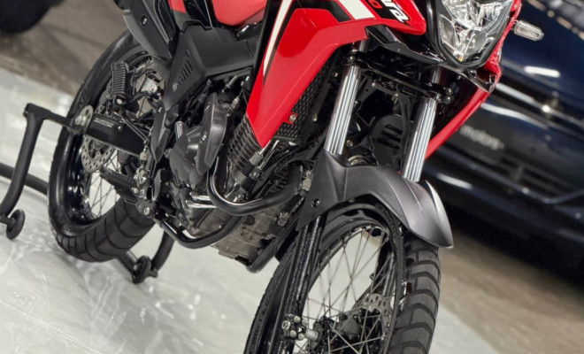 HONDA SAHARA 300 RALLY ABS FLEX 2024 Flex-11