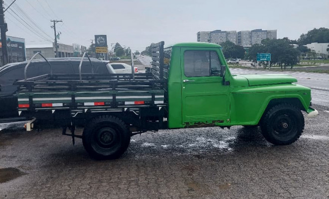 Ford F 75 1975 Gasolina-3