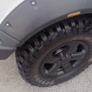 Mitsubishi Pajero TR4 2.0/ 2.0 Flex 16V 4x4 Aut. 2013 Flex-10