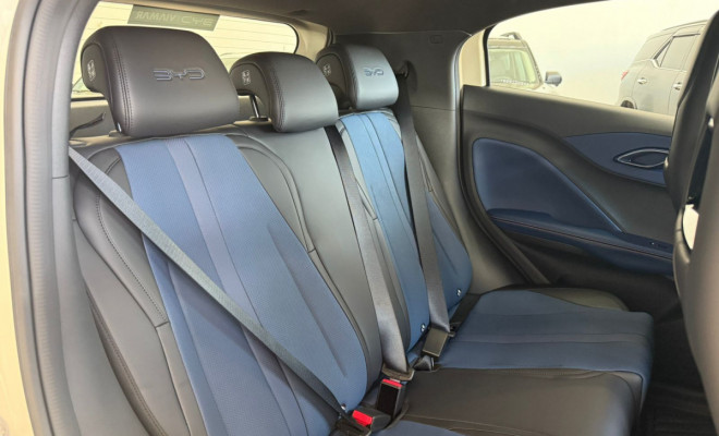 BYD Dolphin Mini (Elétrico) Zero KM Elétrico-6