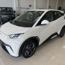 BYD Dolphin Mini (Elétrico) Zero KM Elétrico-1