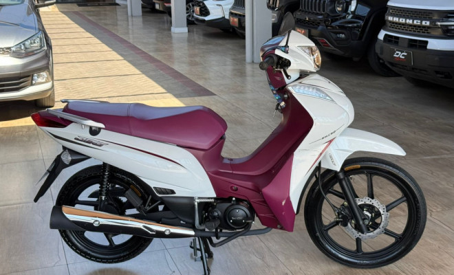 SHINERAY SHI 175 2026 Gasolina-4