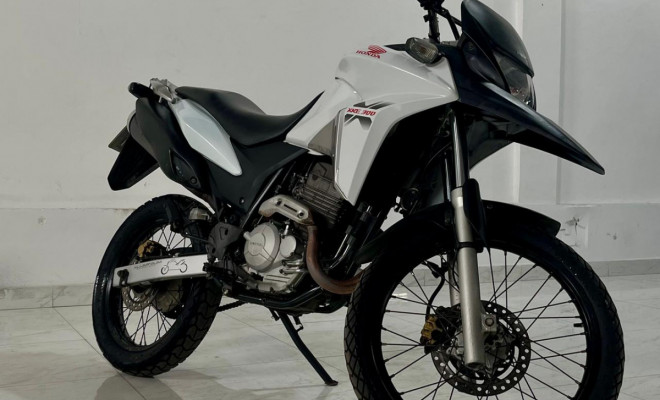 HONDA XRE 300/ 300 ABS/ FLEX 2014 Flex-1