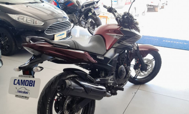 YAMAHA YS 250 FAZER/ FAZER L. EDITION /BLUEFLEX 2017 Flex-7