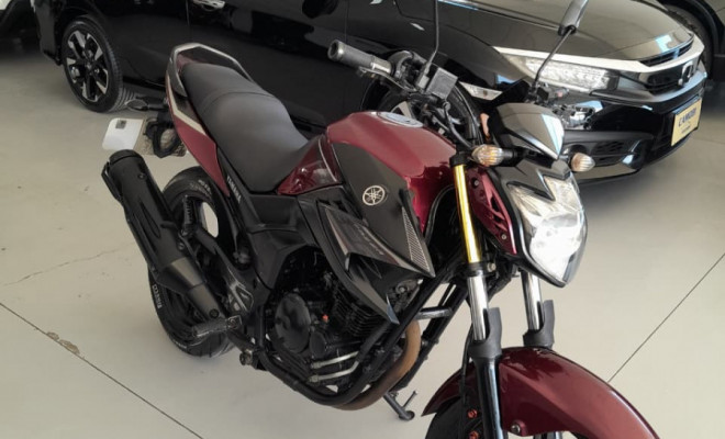 YAMAHA YS 250 FAZER/ FAZER L. EDITION /BLUEFLEX 2017 Flex-2