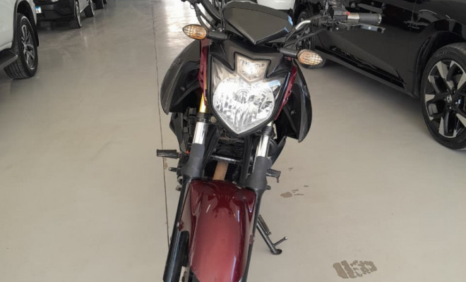 YAMAHA YS 250 FAZER/ FAZER L. EDITION /BLUEFLEX 2017 Flex-0