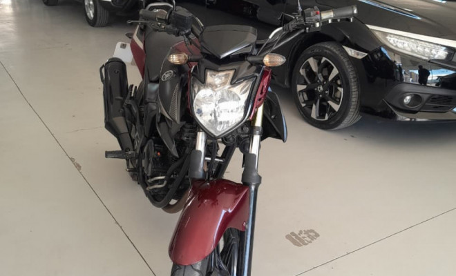 YAMAHA YS 250 FAZER/ FAZER L. EDITION /BLUEFLEX 2017 Flex-8