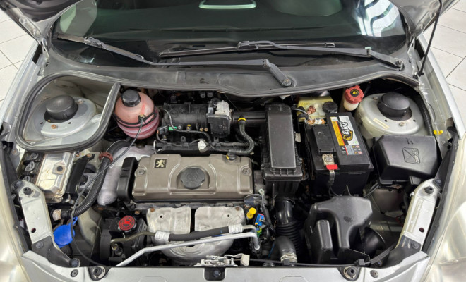 Peugeot 207 XR 1.4 Flex 8V 5p 2011 Flex-7