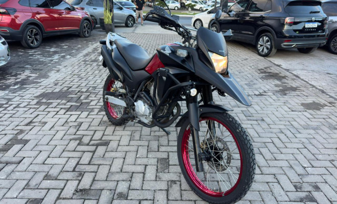 HONDA XRE 300/ 300 ABS/ FLEX 2015 Flex-1