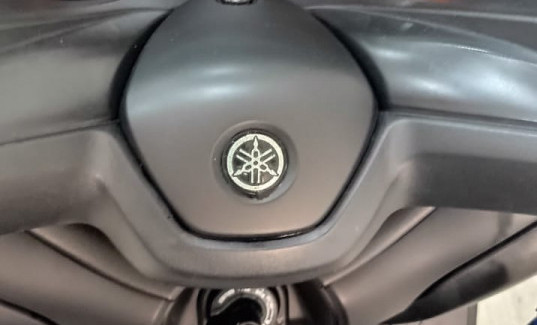 YAMAHA XMAX 250 ABS 2021 Flex-9