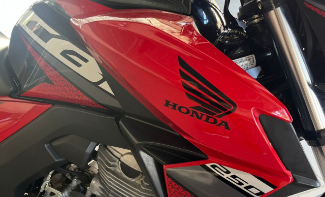 HONDA CB 250 TWISTER/FLEXONE 2019 Flex-2