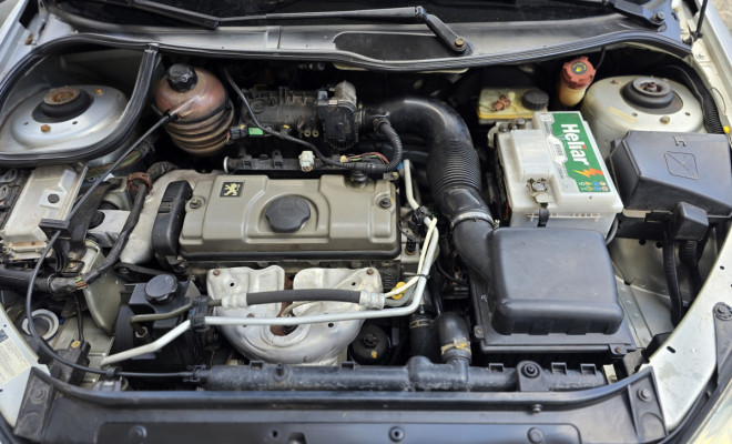 Peugeot 207 XR 1.4 Flex 8V 5p 2010 Flex-8