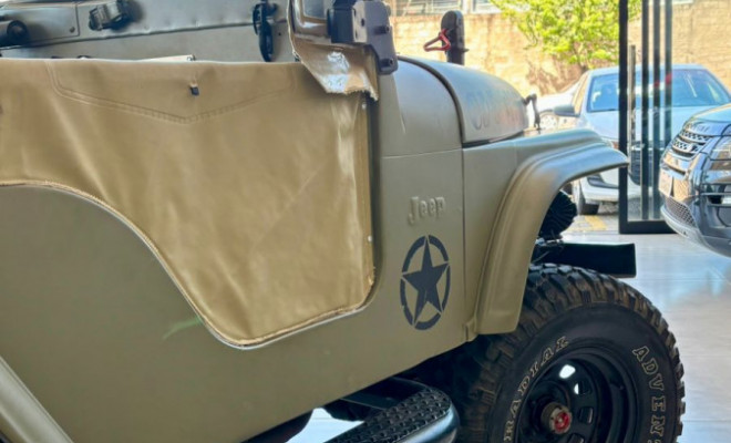 Jeep Willys Overland 1967 Gasolina-17