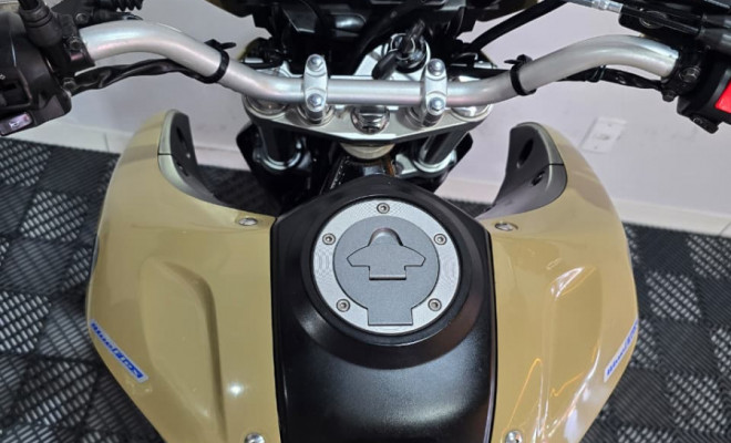 YAMAHA XTZ 250 LANDER 249cc/LANDER BLUEFLEX/ABS 2024 Flex-2