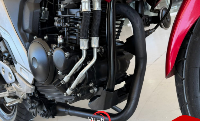 YAMAHA FZ25 250 FAZER FLEX 2023 Flex-3