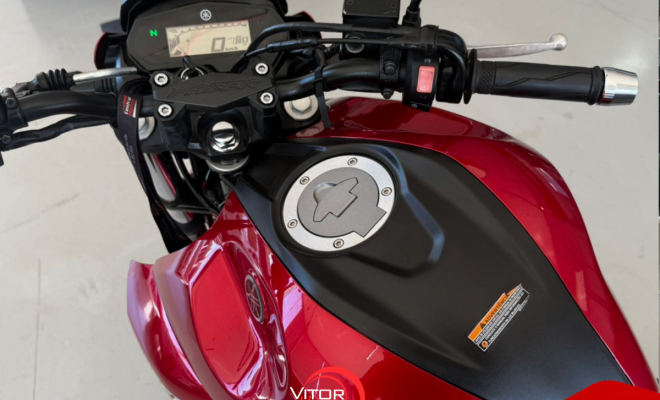 YAMAHA FZ25 250 FAZER FLEX 2023 Flex-0