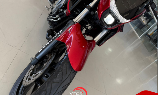 YAMAHA FZ25 250 FAZER FLEX 2023 Flex-6