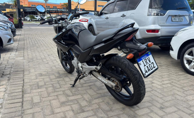 YAMAHA YS 250 FAZER/ FAZER L. EDITION /BLUEFLEX 2012 Flex-3