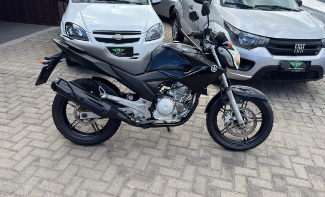 YAMAHA YS 250 FAZER/ FAZER L. EDITION /BLUEFLEX 2012 Flex-6