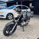 YAMAHA YS 250 FAZER/ FAZER L. EDITION /BLUEFLEX 2012 Flex-0