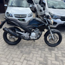 YAMAHA YS 250 FAZER/ FAZER L. EDITION /BLUEFLEX 2012 Flex-6
