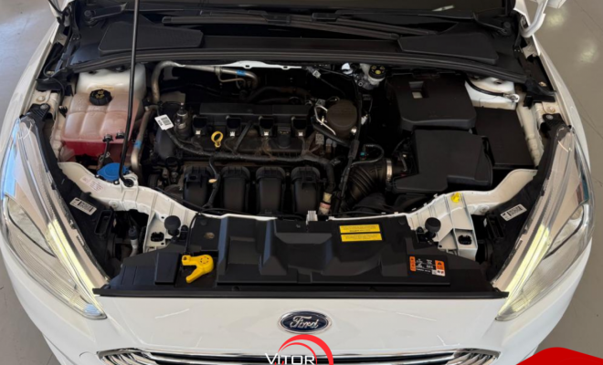 Ford Focus TITA/TITA Plus 2.0  Flex 5p Aut. 2019 Flex-2