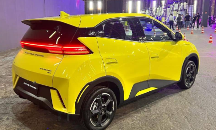 BYD Dolphin Mini (Elétrico) 2024 Elétrico