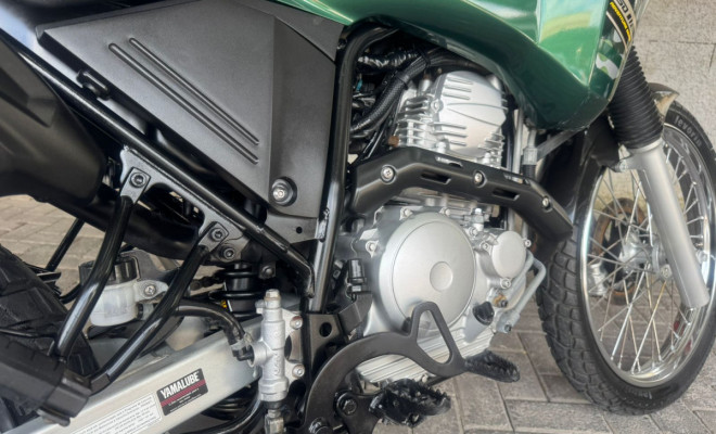 YAMAHA XTZ 250 TENERE/TENERE BLUEFLEX 2019 Flex-7