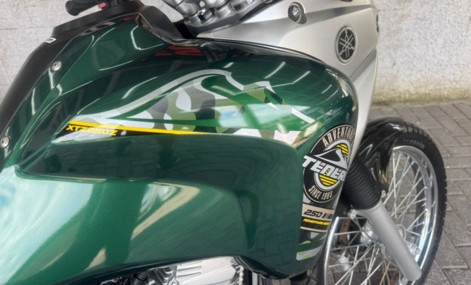 YAMAHA XTZ 250 TENERE/TENERE BLUEFLEX 2019 Flex-6