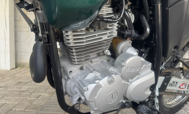 YAMAHA XTZ 250 TENERE/TENERE BLUEFLEX 2019 Flex-9