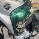 YAMAHA XTZ 250 TENERE/TENERE BLUEFLEX 2019 Flex-10