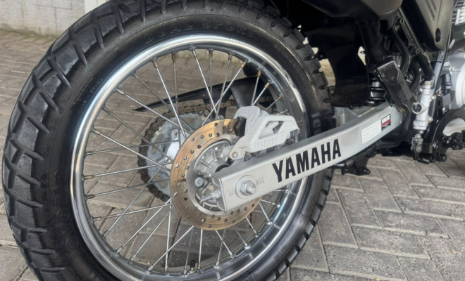 YAMAHA XTZ 250 TENERE/TENERE BLUEFLEX 2019 Flex-8