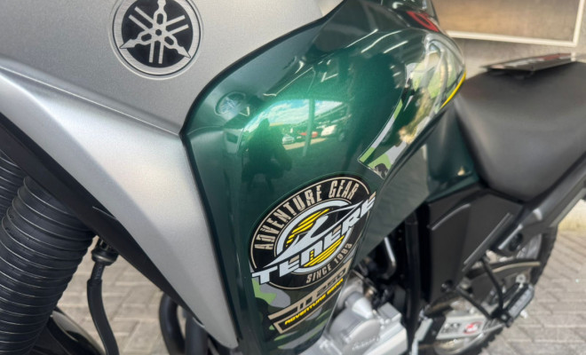 YAMAHA XTZ 250 TENERE/TENERE BLUEFLEX 2019 Flex-10